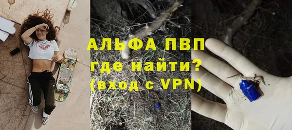 гидропоника Белокуриха