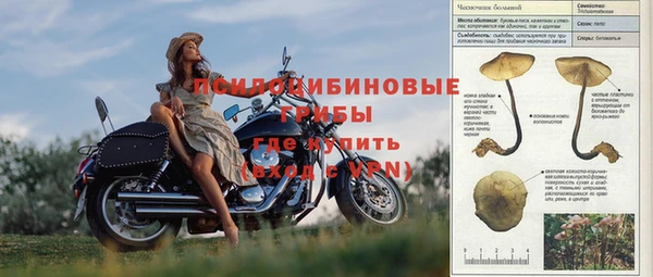 трава Богданович